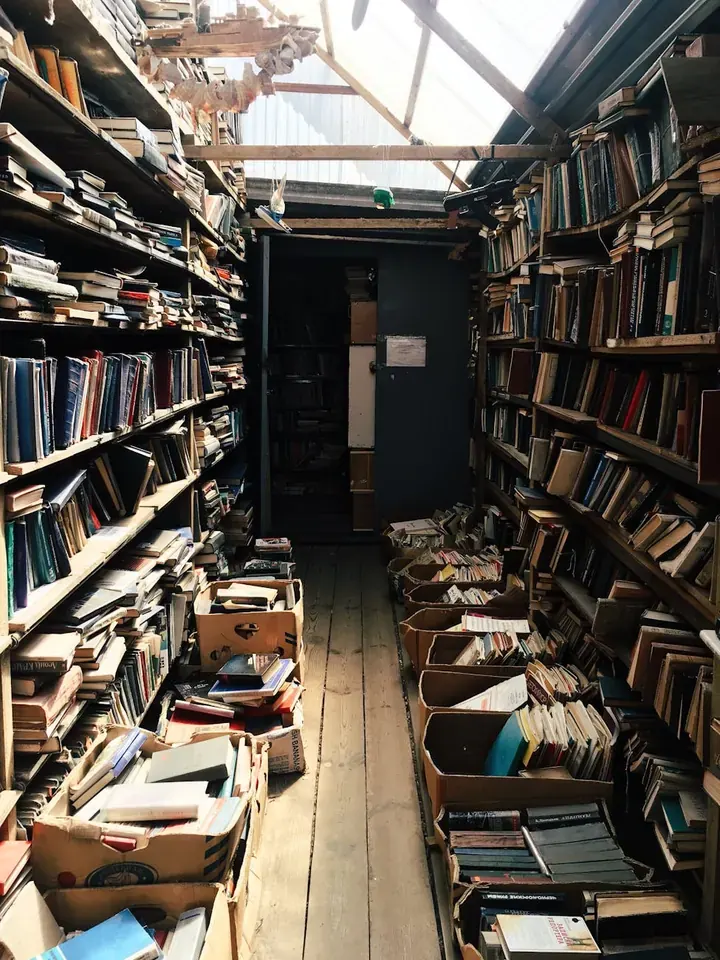 Как книги помогают формировать саморегуляцию