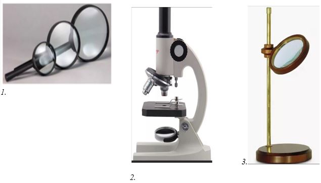 Выберите верный вариант ответа с названиями увеличительных приборов, представленных на рисунке ниже.
